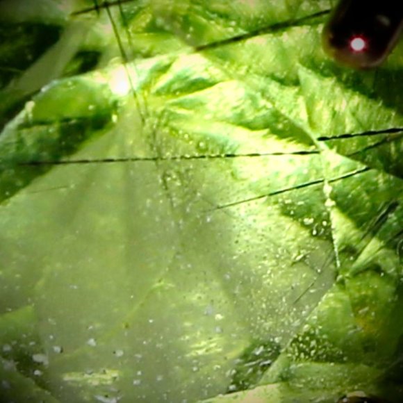 Peridot Ludwigite 3.60ct Rose Gold Silver Pendant - Picture 2 of 8